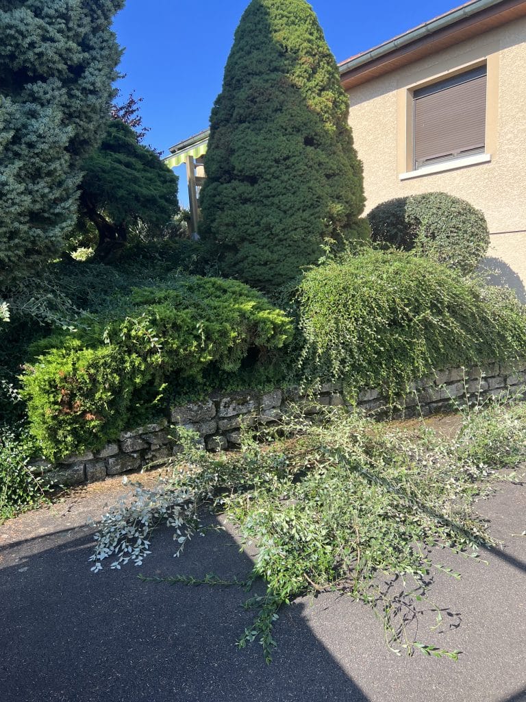 entreprise_stelhy_espace_vert (1)