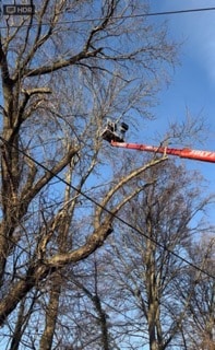 entreprise_stelhy_espace_vert (11)