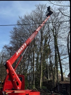 entreprise_stelhy_espace_vert (12)