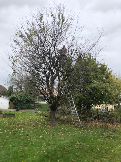 entreprise_stelhy_espace_vert (14)