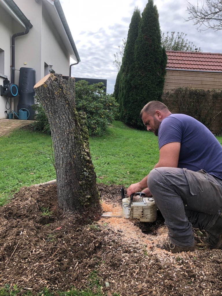 Accueil 14 - Entreprise Reynard entreprise stelhy espace vert 16 - Entreprise Reynard