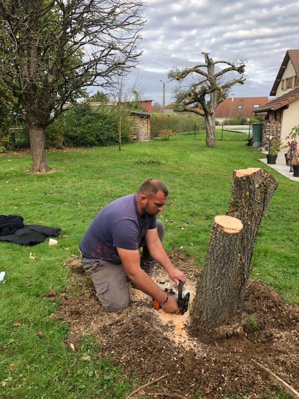 entreprise_stelhy_espace_vert (17)