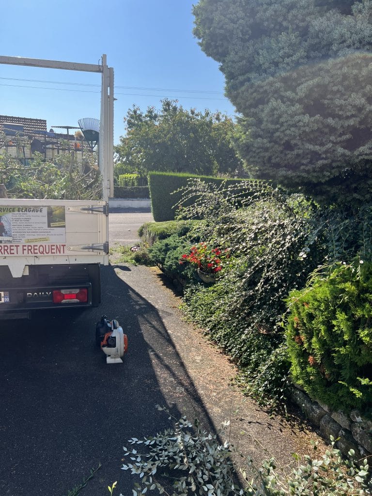 entreprise_stelhy_espace_vert (2)