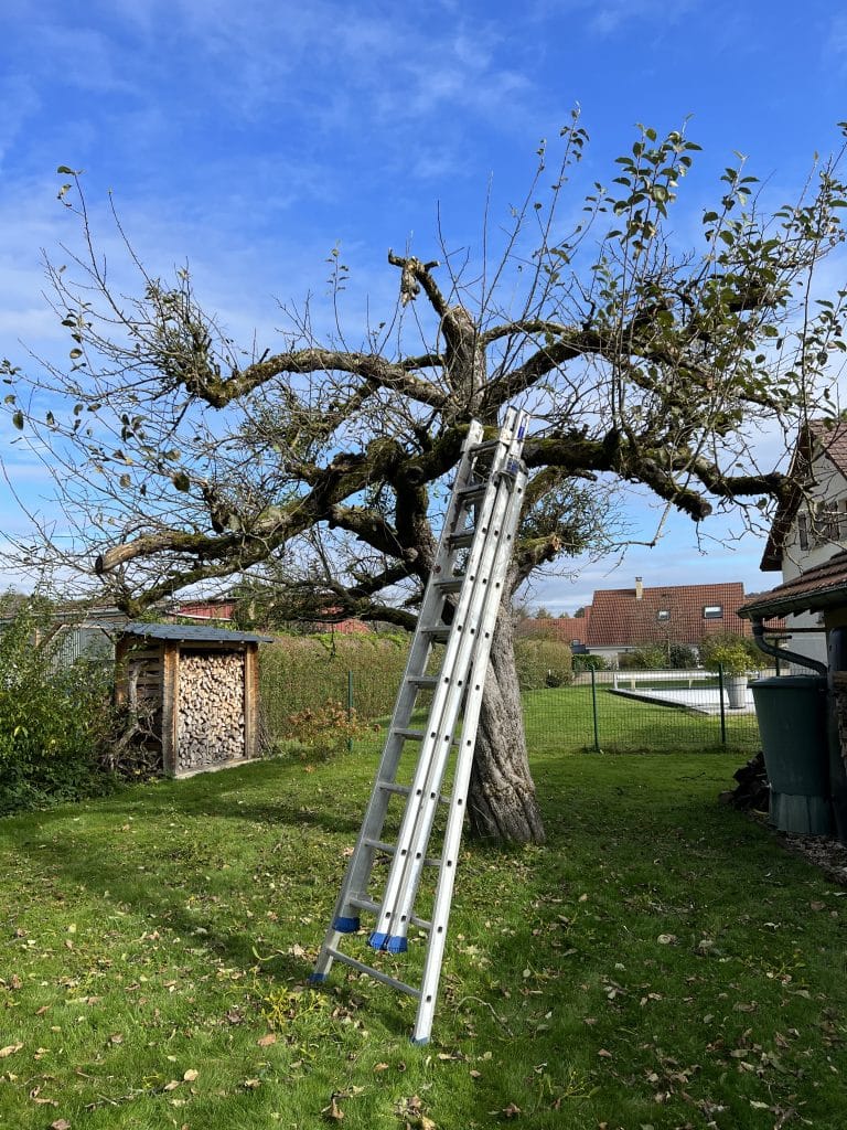 entreprise_stelhy_espace_vert (3)