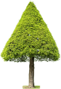 Accueil 5 - Entreprise Reynard tree large - Entreprise Reynard